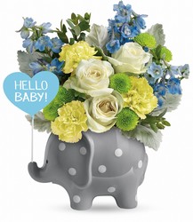 Hello Sweet Baby from Schultz Florists, flower delivery in Chicago